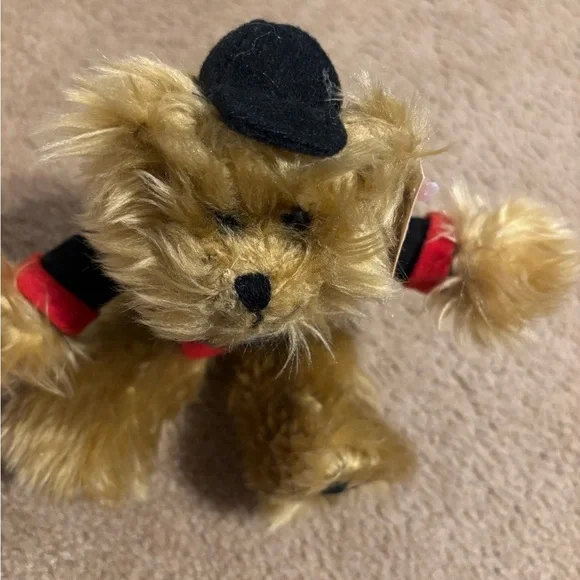 Tampa Bay Buccaneers Plush Bear - Picture 9 of 10